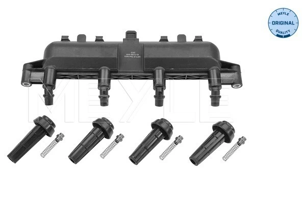 Compre 154301 EFI Bobina de ignição