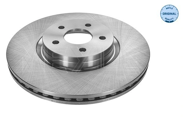 Disco do freio dianteiro 1642763580 Peugeot/Citroen
