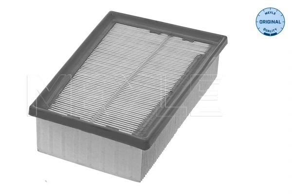 Filtro de ar para Nissan Qashqai I J10