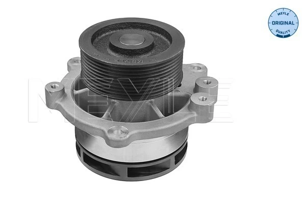 Bomba de água (bomba) de esfriamento DAF 105 XF 