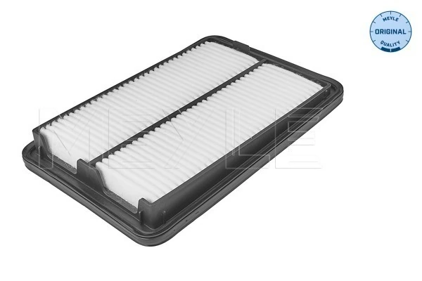 Filtro de ar para Nissan Qashqai II J11