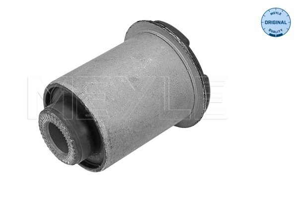 DCC010248 Mando Bloco silencioso dianteiro do braço oscilante inferior
