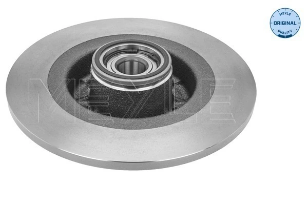  Disco do freio traseiro Renault Scenic II monovolume (JM0, JM1) (2003 - 2009) II