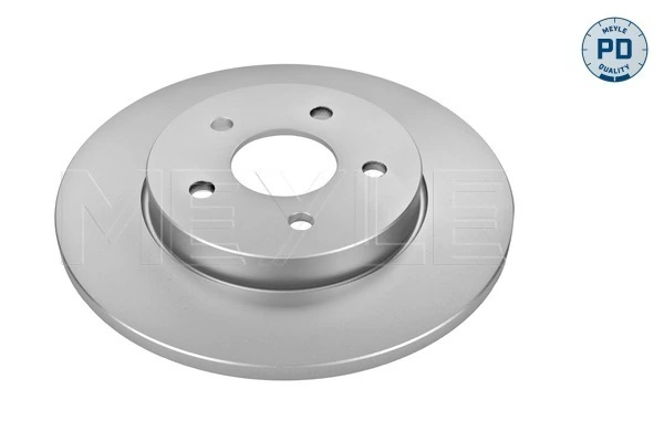 Disco do freio traseiro para Jaguar X-type  CF1