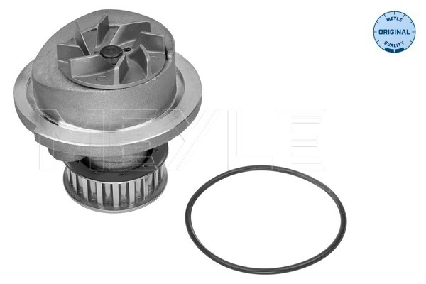 Compre 9199592 General Motors Bomba de água (bomba) de esfriamento