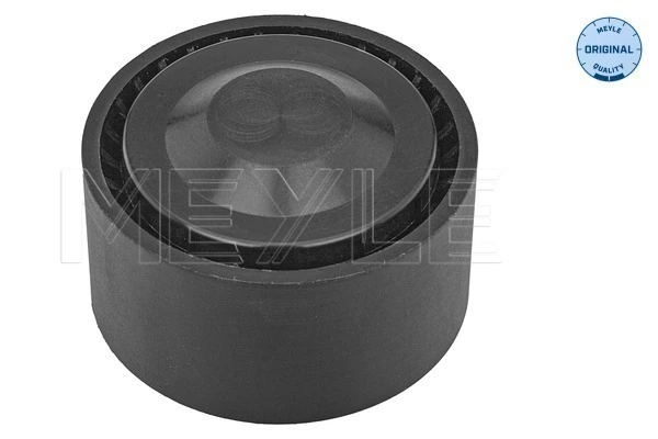 Rolo parasita da correia de transmissão para Ford C-Max  DM2
