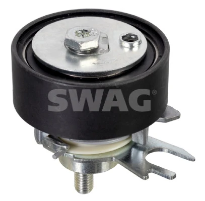 30030049 Swag
