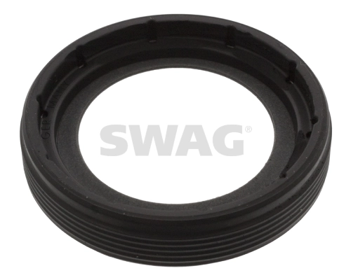 30947276 Swag
