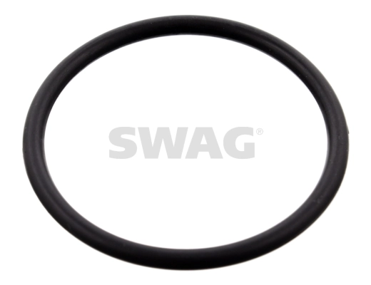 10100077 Swag