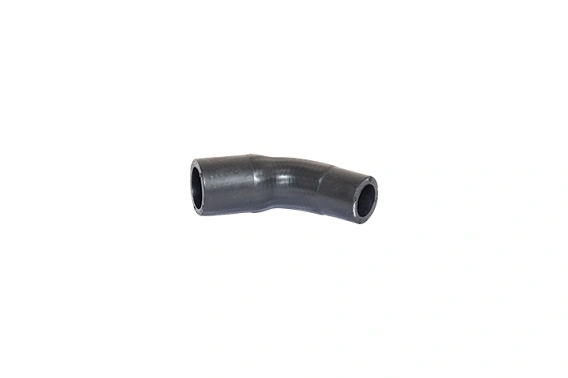 82603 Bugiad