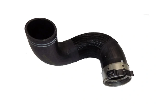 81665 Bugiad