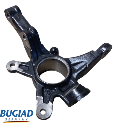 BSP25585 Bugiad