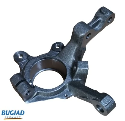 BSP25465 Bugiad