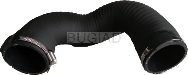 86647 Bugiad