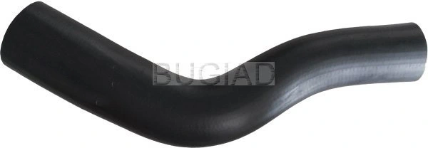 88630 Bugiad