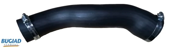 82119 Bugiad