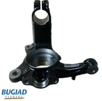 BSP24250 Bugiad