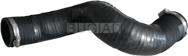 86646 Bugiad