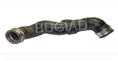 81600 Bugiad