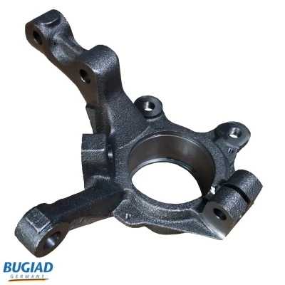 BSP25464 Bugiad