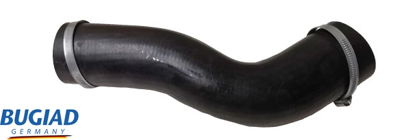82473 Bugiad