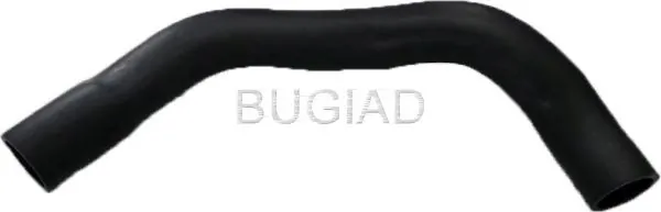 88624 Bugiad