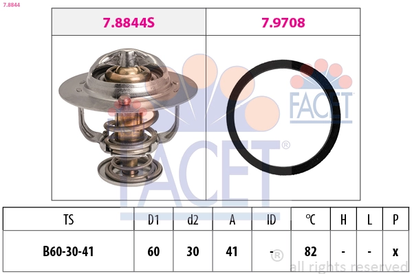 78844 Facet