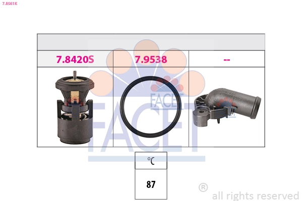 78561K Facet