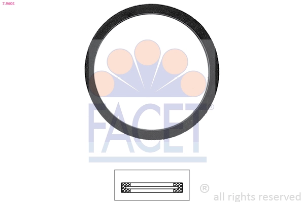 79605 Facet