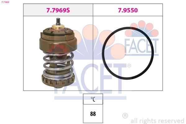 77969 Facet