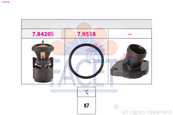 78559K Facet