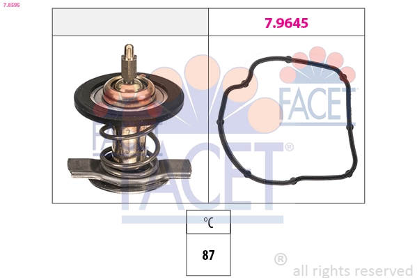 78595 Facet