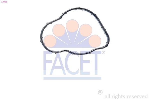 79735 Facet