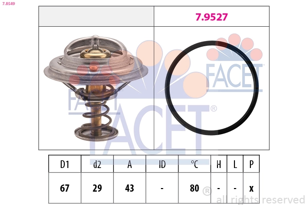 78549 Facet
