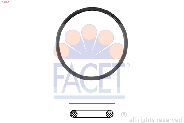 79687 Facet