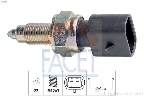 76066 Facet