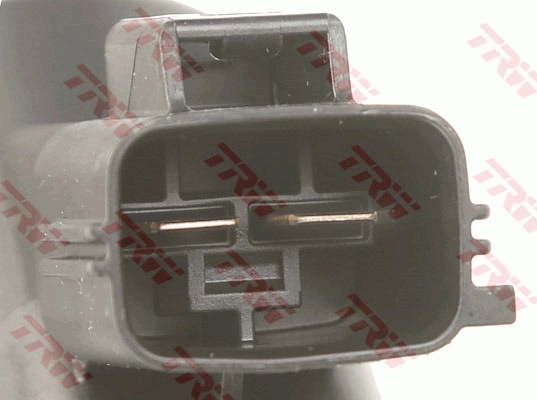 BHN1012E TRW Suporte do freio traseiro direito