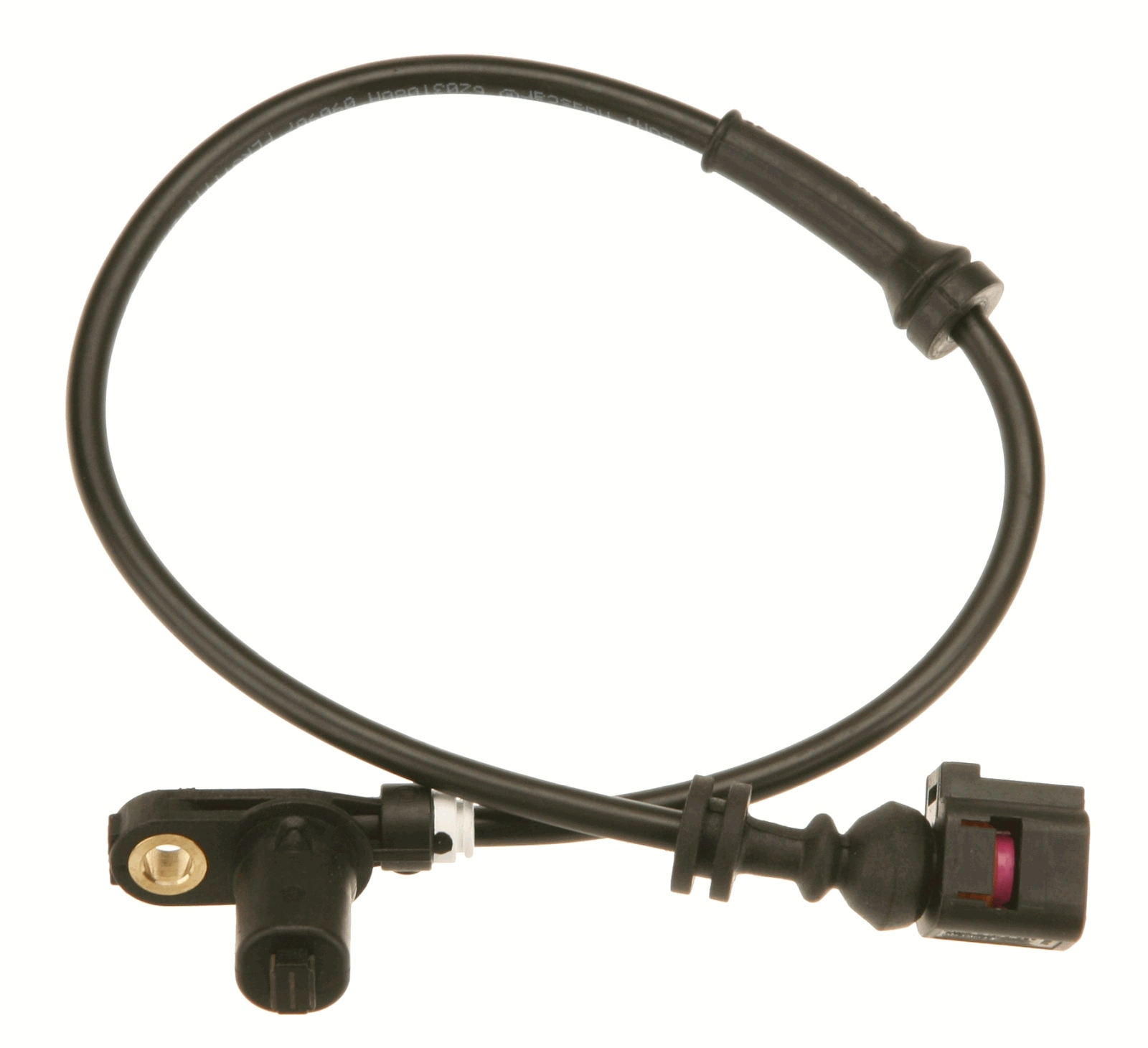 GBS2023 TRW