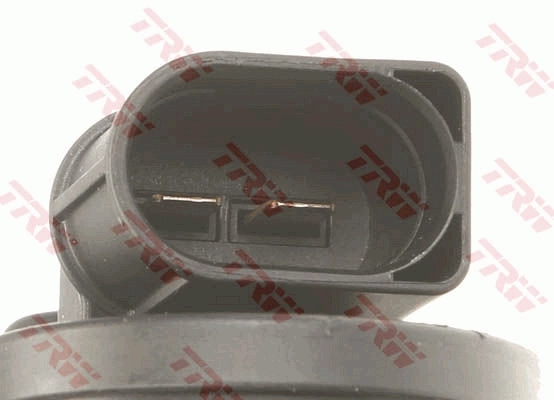 BHS1008E TRW Suporte do freio traseiro esquerdo