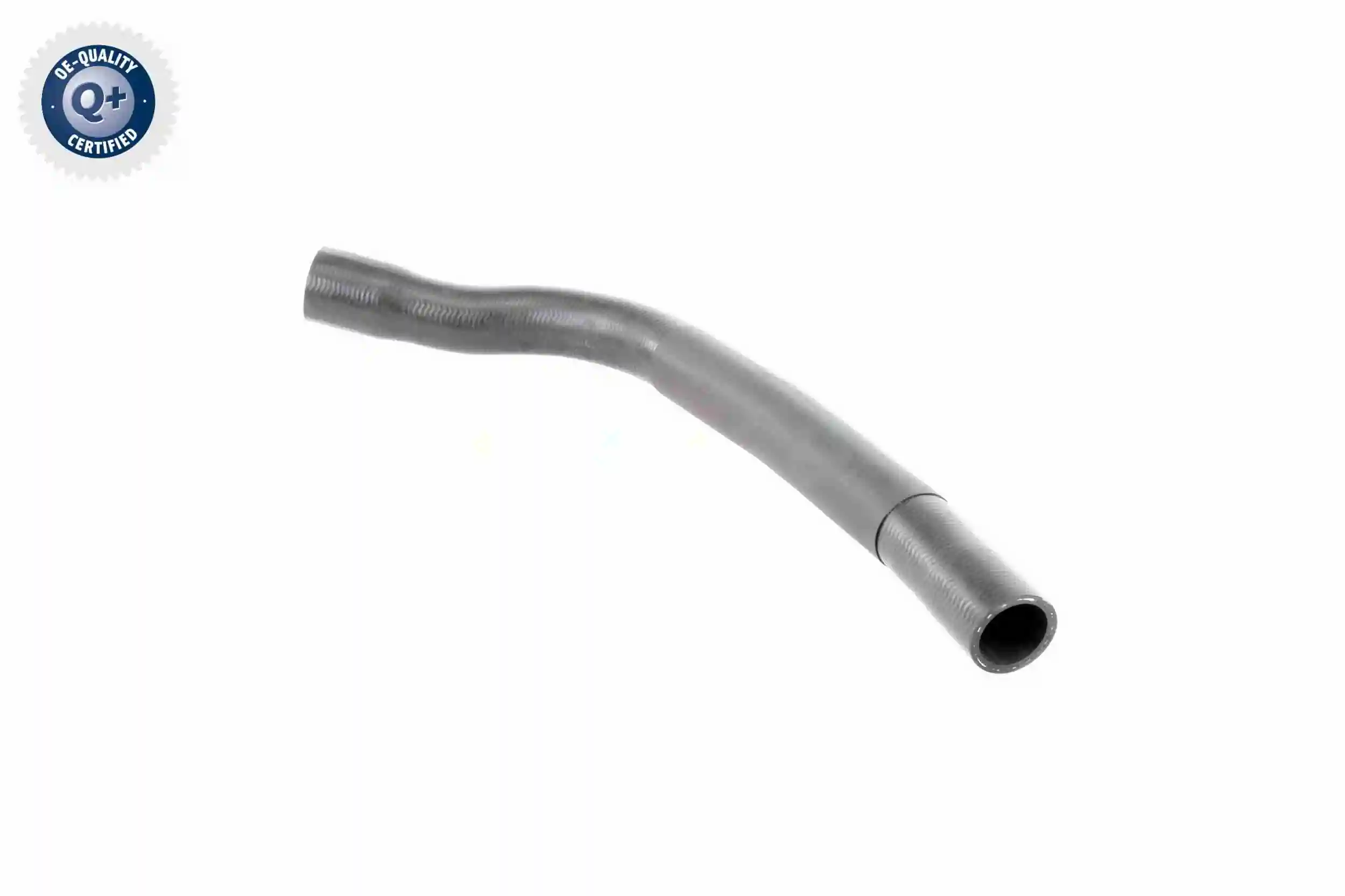  Mangueira (cano derivado) do sistema de esfriamento Mini Cooper hatchback (R50, R53) (2001 - 2006) 