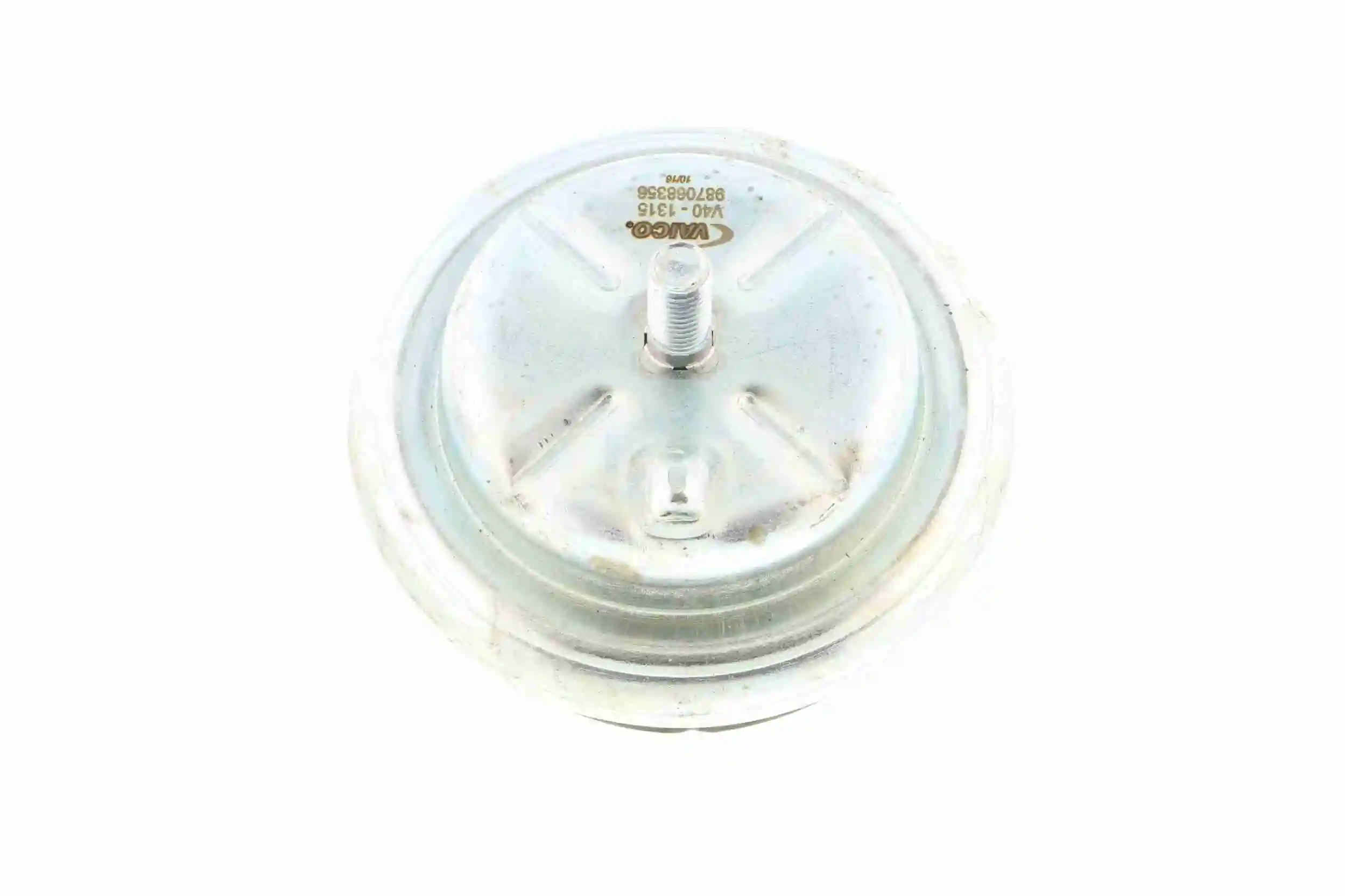 Coxim (suporte) dianteiro de motor 24422658 General Motors