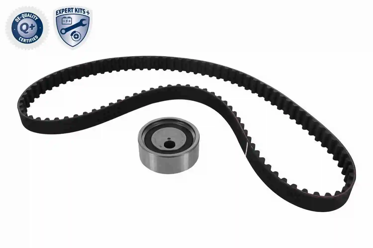 Correia do mecanismo de distribuição de gás, kit 1680600QBA Nissan/Infiniti