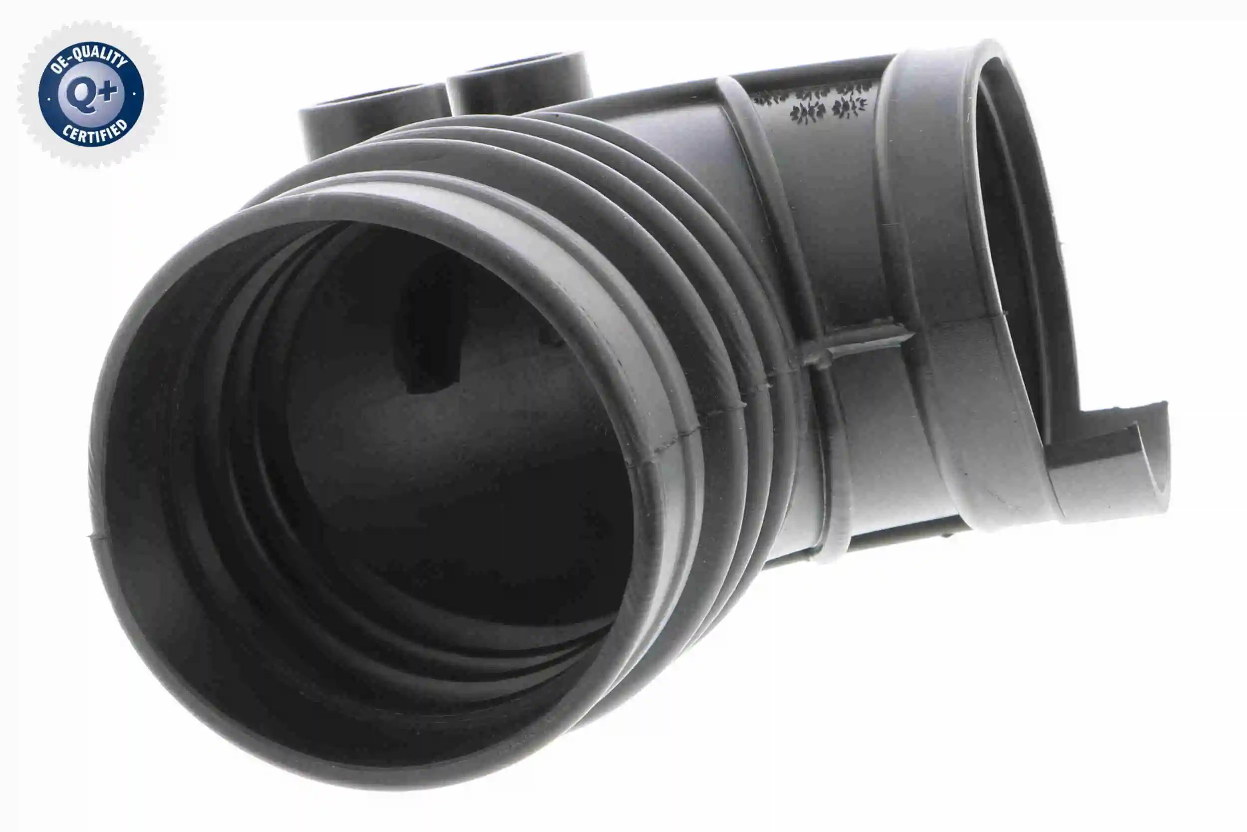 V202079 VEMO/Vaico