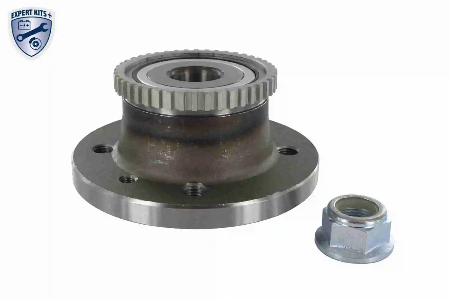 Compre Cubo traseiro Renault Laguna 1