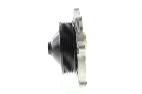 Dolz P505