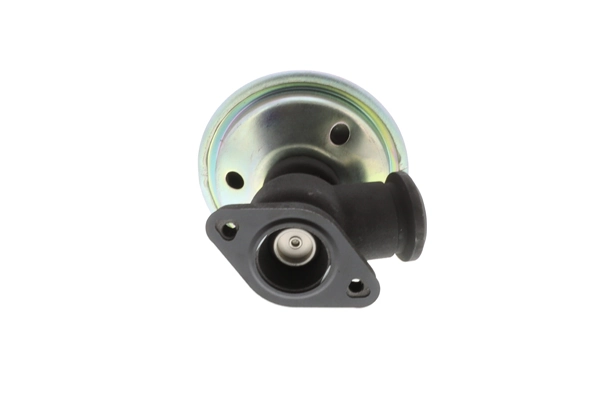 Compre EV104 Magneti Marelli Válvula EGR de recirculação dos gases
