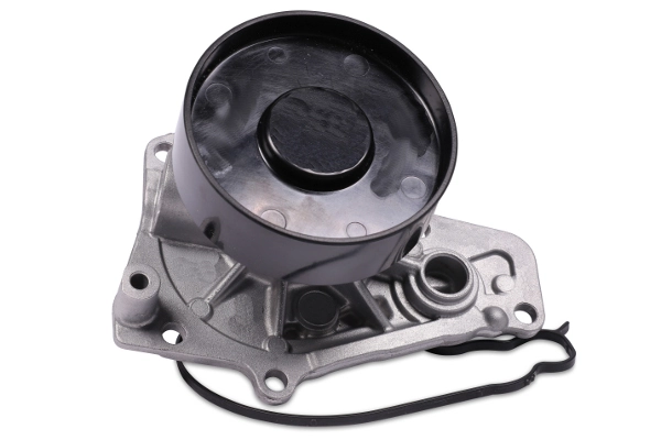 P442 Hepu