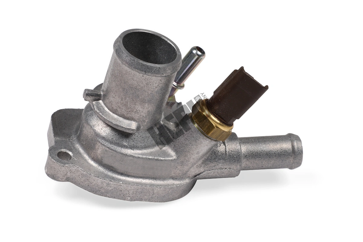 TM1110 Hepu