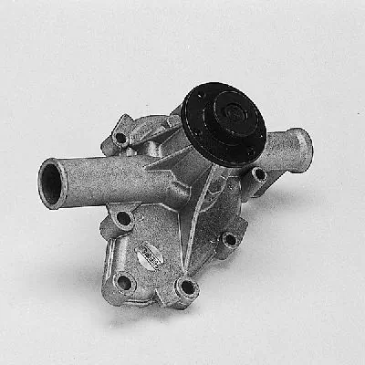 P450 Hepu