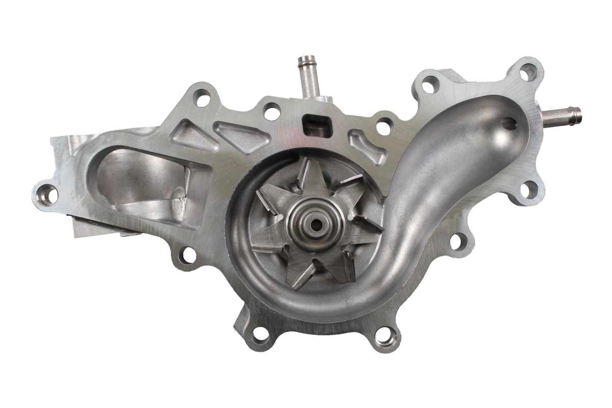 P7807 Hepu